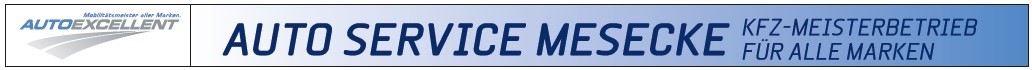 Auto Service Mesecke Logo
